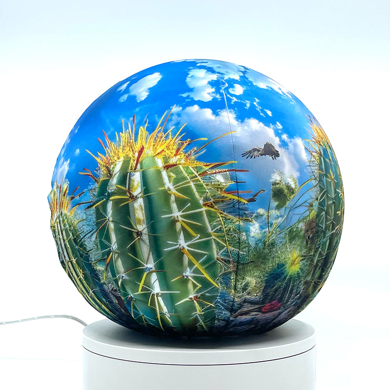 Fabric sphere cover featuring a blue sky with cactus design, wrapped around a 8.7" soccer ball, 9.5" basketball ball, or a 10" globe.