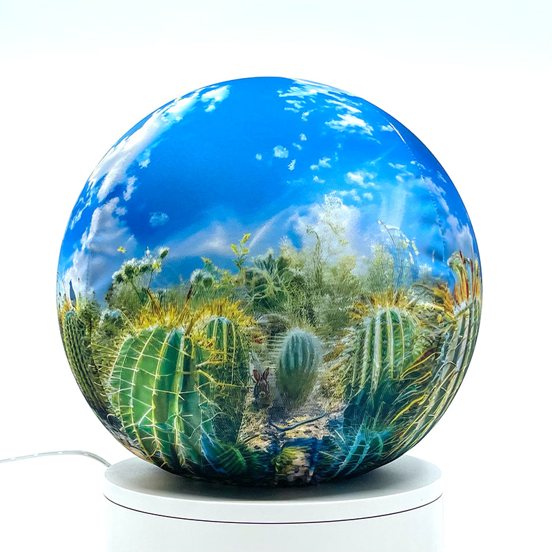 Fabric sphere cover featuring a blue sky with cactus design, wrapped around a 8.7" soccer ball, 9.5" basketball ball, or a 10" globe.