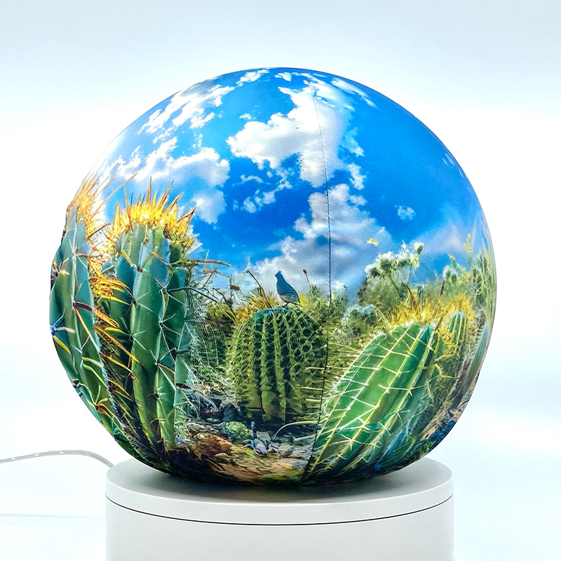 Fabric sphere cover featuring a blue sky with cactus design, wrapped around a 8.7" soccer ball, 9.5" basketball ball, or a 10" globe.