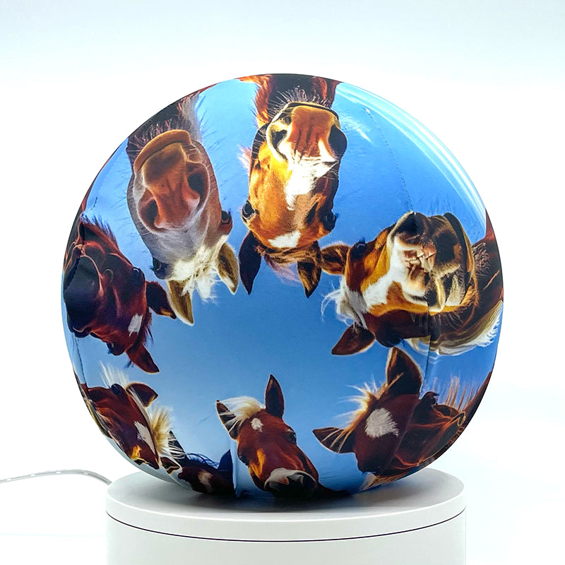 Fabric sphere cover depicting six horses huddling in a circular formation, wrapped around a 8.7" soccer ball, 9.5" basketball ball, or a 10" globe.