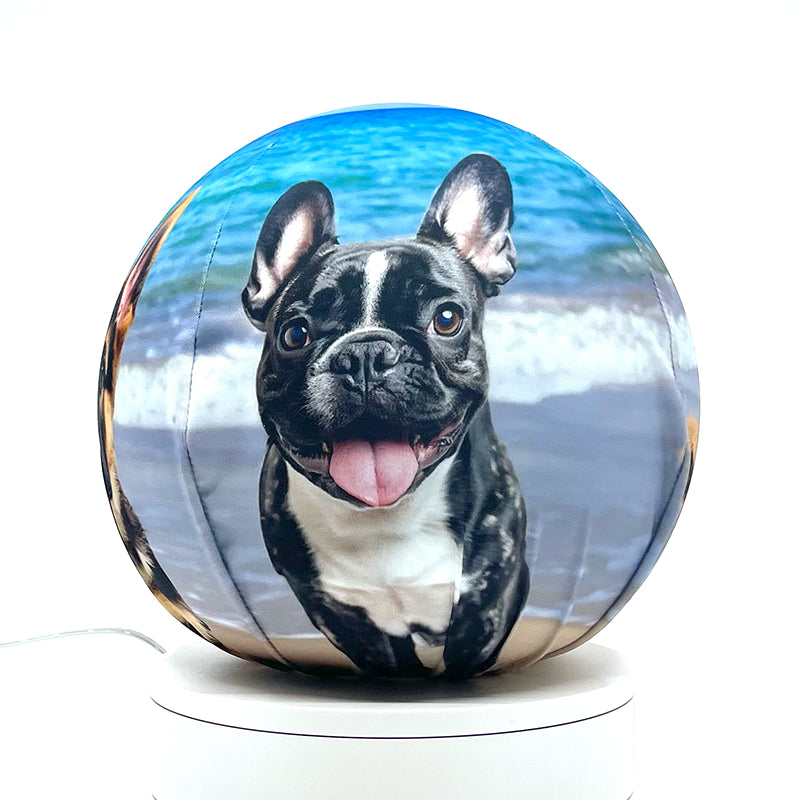 Fabric sphere cover featuring four puppies on a beach, wrapped around a 8.7" soccer ball, 9.5" basketball ball, or a 10" globe.